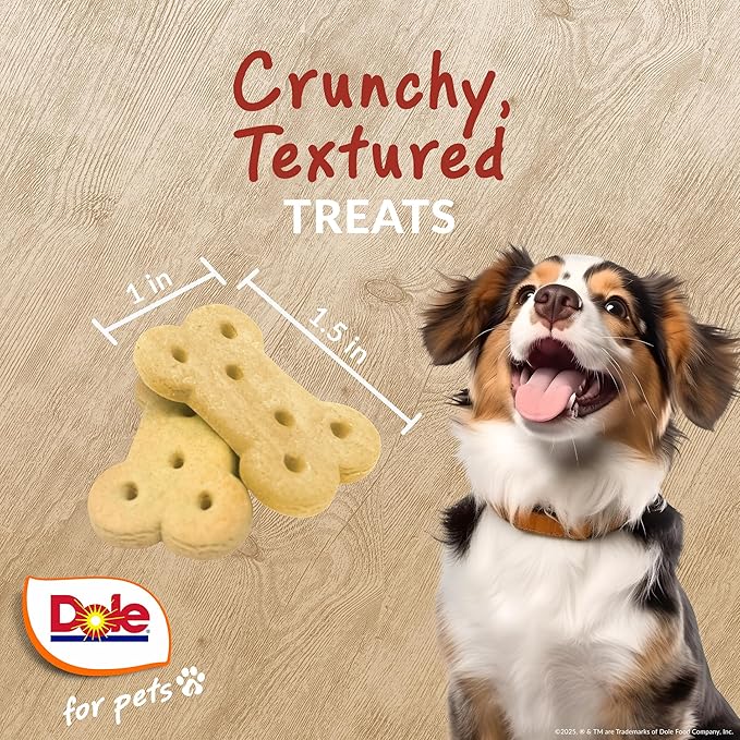 Dole for Pets Dog Biscuits Pup-kin Spice Pumpkin Fall Flavor, Real Vegetable Flavor Vegan Crunchy Treats, No Wheat Corn Soy or Artificial Additives, Bite Size Training Snacks for Dogs, 7 Oz