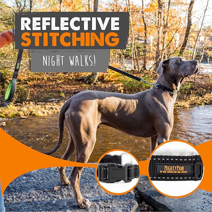 Mighty Paw Martingale Collar with Buckle | Training Dog Collar, Limited Cinch Chain Pet Gear for No Pull Dog Walking. Martingale Dog Collars for Large Dogs, Medium Breeds and Small Pets