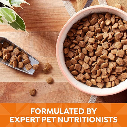 Nature′s Recipe Grain Free Chicken, Sweet Potato & Pumpkin Recipe Dry Dog Food, 4 lb. Bag