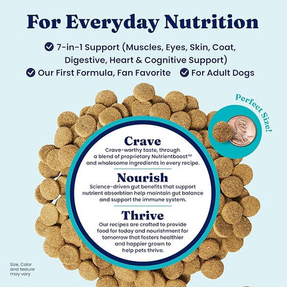 Solid Gold Lamb Dog Food Dry for Adult & Senior Dogs– High Protein Healthy Dog Kibble for Medium & Large Breeds – Whole Grain, Omega 3 & Digestive Probiotics for Gut Health & Everyday Nutrition – 4 LB