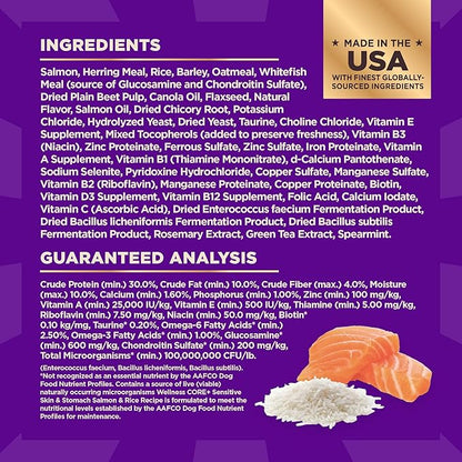 Wellness CORE+ Sensitive Skin and Stomach Adult Dry Dog Food with Freeze Dried Pieces, Wholesome Grain Kibble+, Natural, High Protein, Chicken Free, Salmon and Rice Recipe, 4 lb Bag