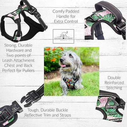 Lucky Love Dog No Pull Dog Harness, Adjustable and Easy to Walk, Cute Patterned Harness for SmallMale & Female Dogs - Laguna, Small