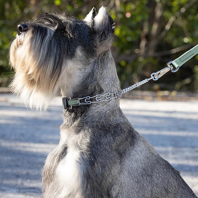 Herm Sprenger Chrome Plated Steel Dog Collar with Quick Release ClicLock Buckle and Biothane Insert Training Collar for Dogs Made in Germany (Sage Green, 16in x 2.25mm(Neck Size up to 13-14in))