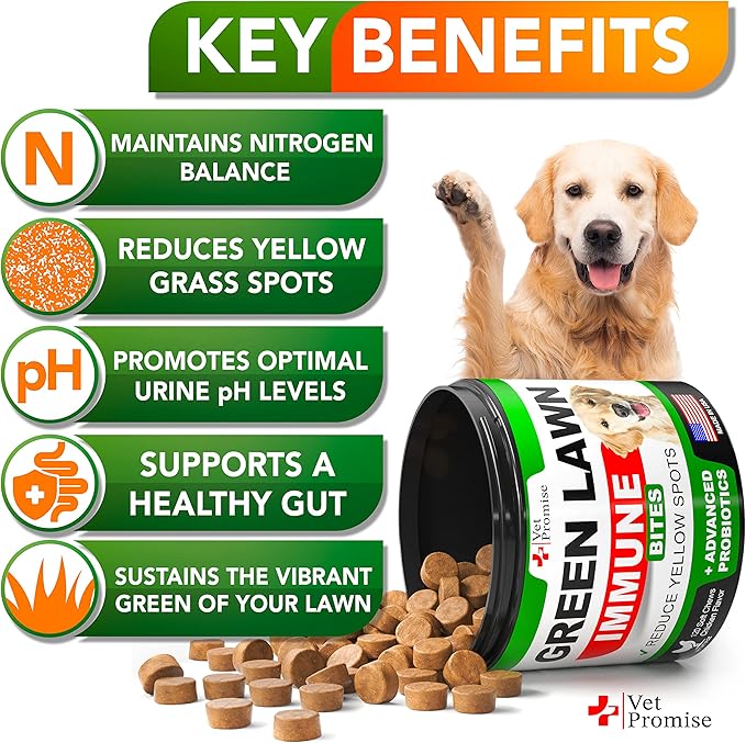 Grass Burn Spot Chews - Dog Urine Neutralizer for Lawn - 120 Grass Green Treats, Rocks - Pee Grass Spot Saver Caused by Dog Urine - Probiotics - Digestive Enzymes - Made in USA
