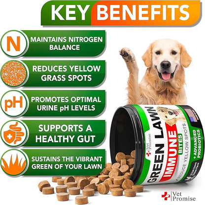 Grass Burn Spot Chews - Dog Urine Neutralizer for Lawn - 120 Grass Green Treats, Rocks - Pee Grass Spot Saver Caused by Dog Urine - Probiotics - Digestive Enzymes - Made in USA