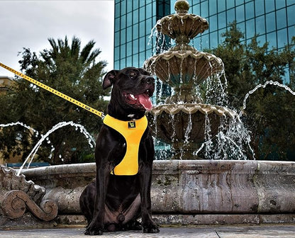 EcoBark Dog Leash - Soft & Reflective Comfort Training Leashes with Padded Handle - Safe, Strong, & Durable for Small, Medium or Large Dogs (Yellow)