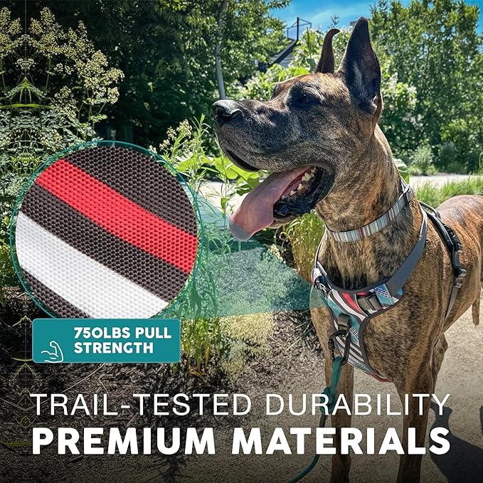 Embark Adventure XL Dog Harness – No-Pull, Reflective Trim, Military-Grade Nylon, Dual Leash Clips, Gel-Lined Handle for Extra Large Dogs