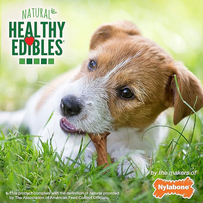 Nylabone Healthy Edibles Wild Natural Dog Chew Treats, Bison Flavor, Small Dogs Up to 20 lbs - Made in USA (16 Count) (Pack of 2)