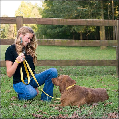 Country Brook Petz - Everyday Nylon Dog Collar for Large, Medium, and Small Dogs and Puppies - for Everyday Use in 10+ Warm Colors (Extra Large, 1 Inch Wide, Gold)