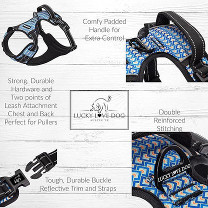 Lucky Love Dog No Pull Dog Harness, Adjustable and Easy to Walk, Cute Patterned Harness for Small Male & Female Dogs - Murphy, XS