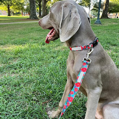 Lucky Love Dog - Easy Click Noel Dog Collar with Leash Set Combo, Durable & Comfortable for Male & Female Dogs, Pet Collar for Large Dogs, Secure Fit - Noel Combo, Large