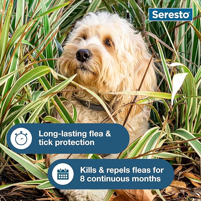 Seresto Small Dog Vet-Recommended Flea & Tick Treatment & Prevention Collar for Dogs Under 18 lbs. | 8 Months Protection
