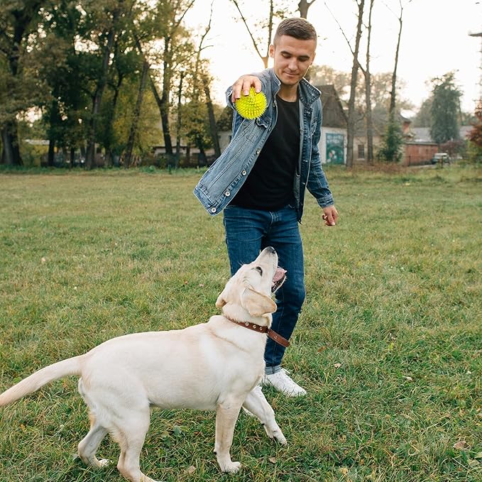 VITEVER 3.5” Squeaky Dog Toy Balls (6 Colors) Puppy Chew Toys for Teething, BPA Free Non-Toxic, Spikey Dog Balls for Medium, Large & Small Dogs, Durable Toys for Aggressive Chewers (Pack of 2)