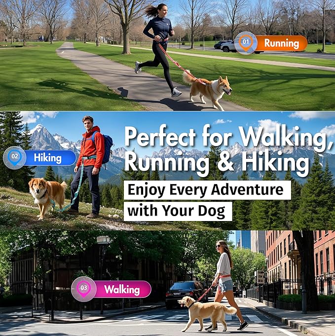 Hands Free Dog Leash with Waist Belt Lifetime Replacement, Dual Handle Bungee Leash for Running, Jogging, Hiking and Walking, for Medium and Large Dogs 5518
