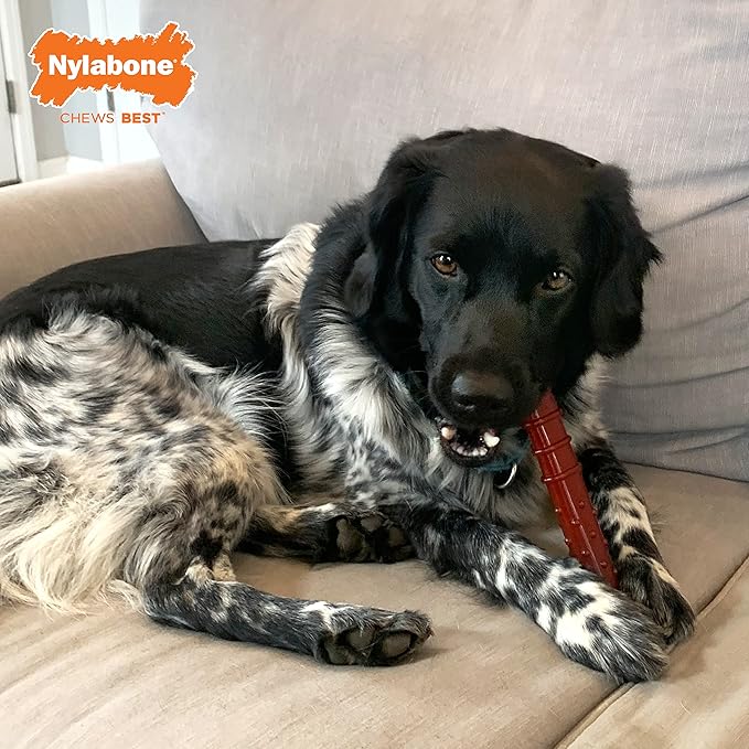 Nylabone Textured Bone Power Chew Toy for Dogs, Durable & Tough Dog Toys for Aggressive Chewers, Basted Blast Bacon and Steak Flavor, Large Dogs - Up to 50 lbs, 1 Count