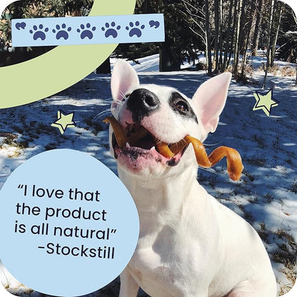 Pawstruck Natural 7” Braided Bully Sticks for Dogs, Tough Long-Lasting, Rawhide-Free, Low Odor, Healthy Single Ingredient Chew Treat for Aggressive Chewers, 10 Count, Packaging May Vary