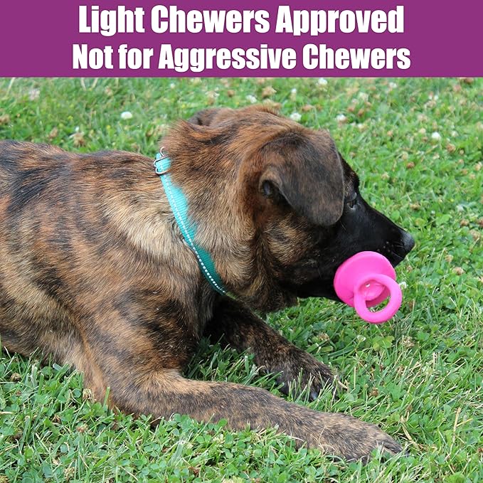 SPOT Puppy Pacifier Latex Dog Toy – Soft Binky-Shaped Chew for Teething Puppies & Small Dogs, 4.5 Inch, for Light Chewers Only, Squeaky Natural Latex, Assorted Colors