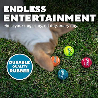 Outward Hound Squeaker Ballz – Squeaky Tiny Tennis Balls for Small Dogs Under 15 lbs, Fetch & Training, X-Small (1.5"), 8-Pack
