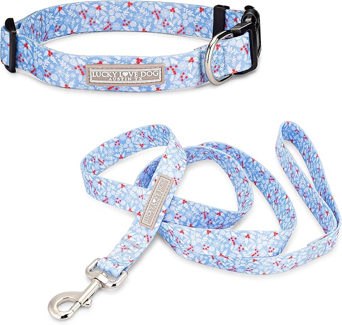 Lucky Love Dog Dog Collar, Leash Set Small, Premium, Cute and Adjustable Collars for Male and Female Dogs, Winterblue Combo, Extra Small