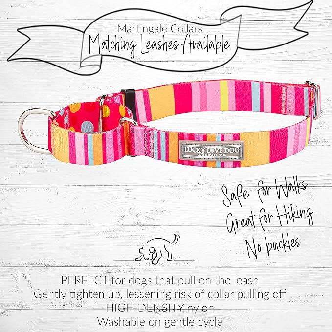 Lucky Love Dog Martingale Dog Collar - Adjustable, No-Slip, Durable, & Soft Webbing Collar for Male and Female Dogs Ideal for Training & Walking - Molly, Large