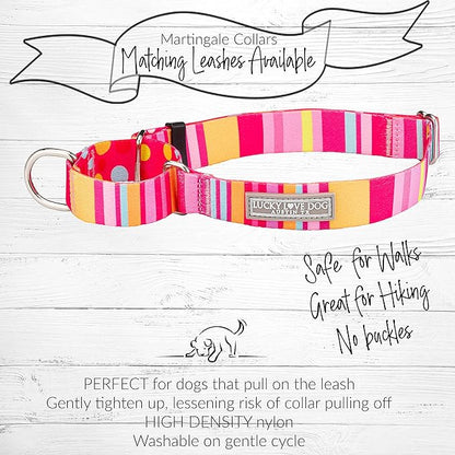 Lucky Love Dog Martingale Dog Collar - Adjustable, No-Slip, Durable, & Soft Webbing Collar for Male and Female Dogs Ideal for Training & Walking - Molly, Large
