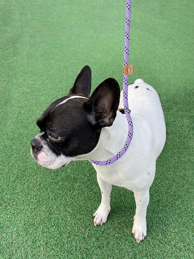 5 FT Slip Lead Dog Leash, Heavy Duty Rope Leash for Small Medium Large Dogs, No Pull Training Lead with Reflective Thread, Strong Comfortable Loop Leash (Lavender Stripe, Medium(3/8"))