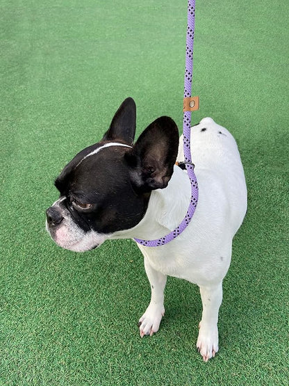 5 FT Slip Lead Dog Leash, Heavy Duty Rope Leash for Small Medium Large Dogs, No Pull Training Lead with Reflective Thread, Strong Comfortable Loop Leash (Lavender Stripe, Medium(3/8"))