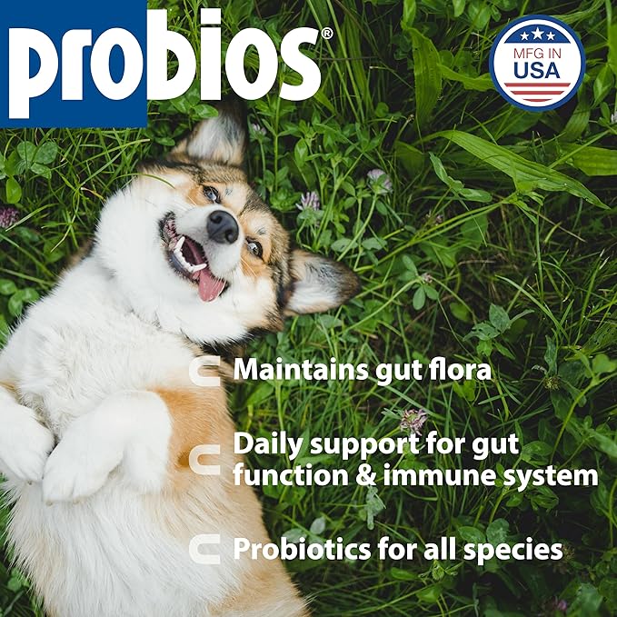 Probios Digestive Support Probiotic for All Species, Probiotics for Gut Health, Dispersible Powder, 240 gm (Pack of 2)