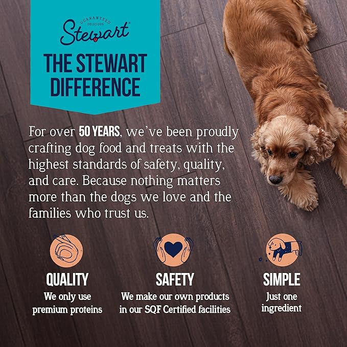 Stewart 100% Wild Salmon Dog Treats, 2.75 oz Pouch, ~55 Pieces, Freeze Dried Raw, Single Ingredient, 65% Protein Training Treats or Meal Topper, Grain Free, Gluten Free