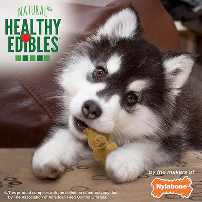 Nylabone Healthy Edibles Natural Puppy Chews Long Lasting Treats for Puppies, Lamb & Apple Flavor, Small/Regular (4 Count) (Pack of 2)
