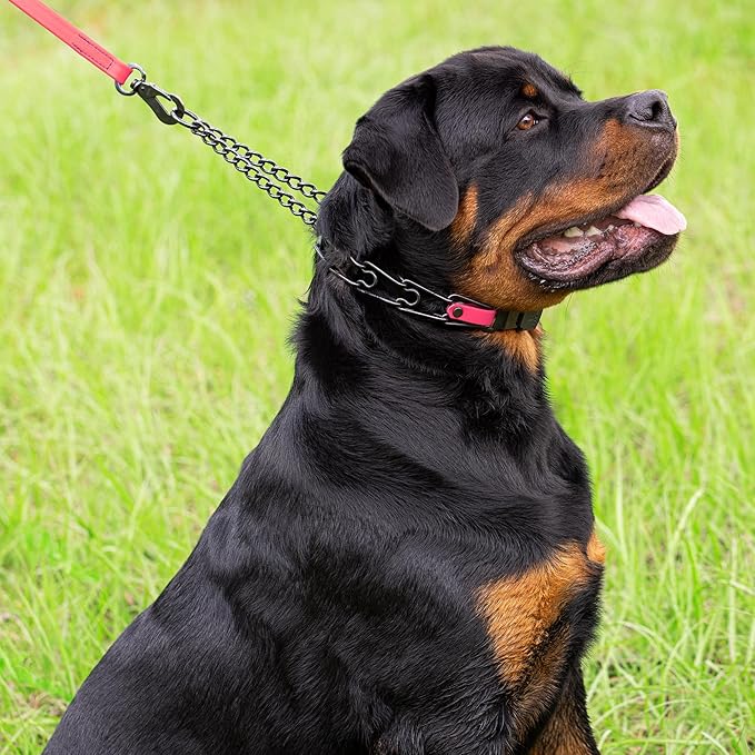 Herm Sprenger Black Stainless Steel Dog Collar with Quick Release ClicLock Buckle O-Ring Biothane Insert Training Collar Made in Germany (Passionfruit Pink, 23in x 3.2mm(Neck Size up to19-20in))