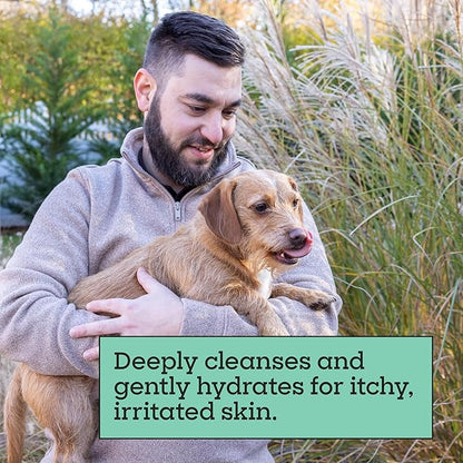 Pet Life Unlimited Natural Flea & Tick Gel Shampoo for Dogs, 16 oz, Plant-Based Prevention & Treatment for Fleas, Ticks & Eggs, Soothes Itchy Skin, Cleans & Conditions Coat
