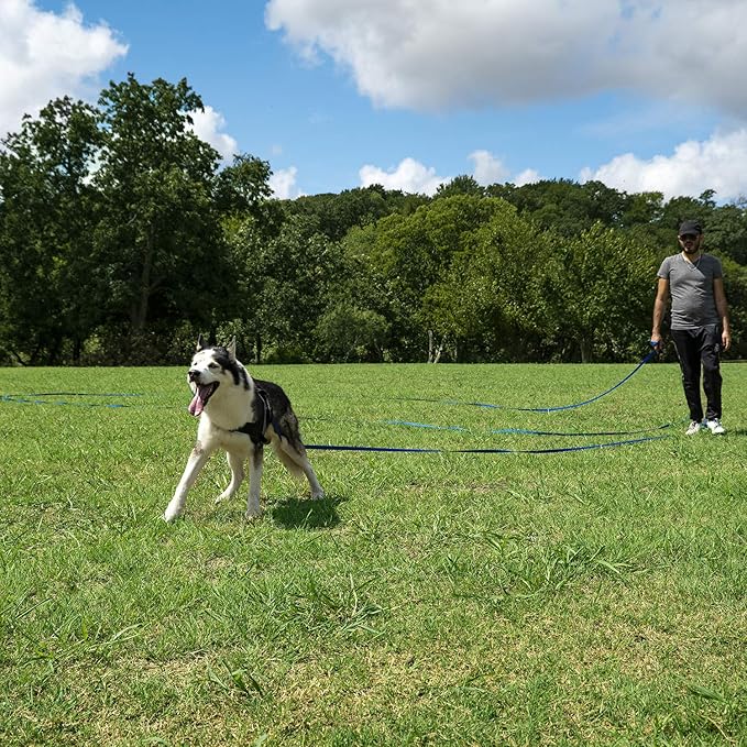 Hi Kiss Dog/Puppy Obedience Recall Training Agility Lead - 15ft 20ft 30ft 50ft 100ft Training Leash - Great for Training, Play, Camping, or Backyard (100 Feet, Red)