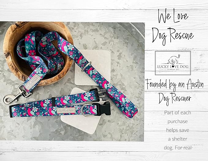 Lucky Love Dog - Adjustable Collar and Leash Set with Easy Click Buckle for Medium Dogs, Durable, & Comfortable Collar for Male & Female Dogs, Puppies & Adul t- CarrieBelle Combo, Medium