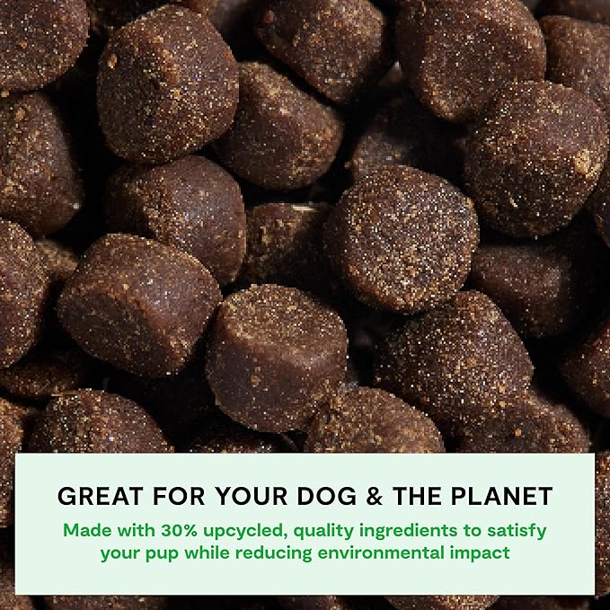Open Farm, Be Good Bites, Soft Dog Training Treats, Small & Chewy, Made with Ethically & Sustainably Sourced Ingredients, Non-GMO Fruits & Grains, Wild-Caigh Salmon Recipe, 6oz Pouch