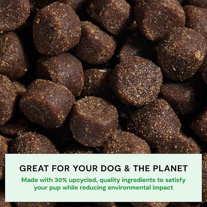 Open Farm, Be Good Bites, Soft Dog Training Treats, Small & Chewy, Made with Ethically & Sustainably Sourced Ingredients, Non-GMO Fruits & Grains, Wild-Caigh Salmon Recipe, 6oz Pouch
