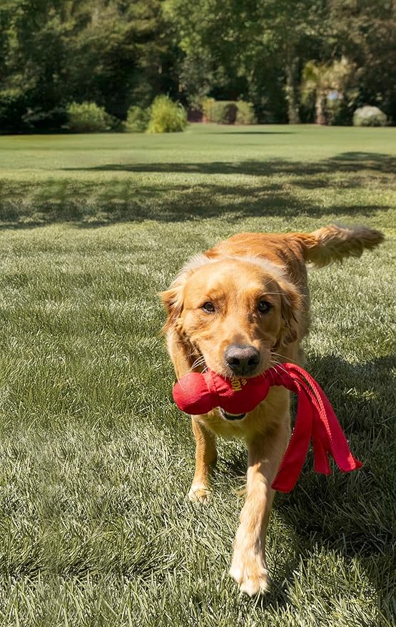 KONG Wubba Dog Toy 2 Pack – Durable Interactive Tug & Toss Toy with Reinforced Nylon, Floppy Tails for Fetch, Shake & Squeaky Play (Extra Large, 2 Pack)
