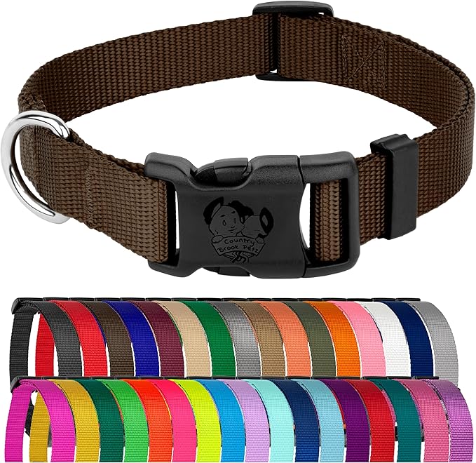 Country Brook Petz - Everyday Nylon Dog Collar for Large, Medium, and Small Dogs and Puppies - for Everyday Use in 10+ Warm Colors (Small, 3/4 Inch Wide, Brown)