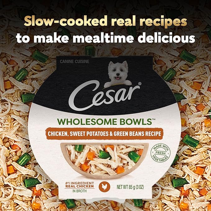 Cesar Wholesome Bowls Adult Wet Dog Food,Chicken,Sweet Potato & Green Beans Recipe,Wet Food for Dogs,3 Oz. Bowls,10 Count (Pack of 2)
