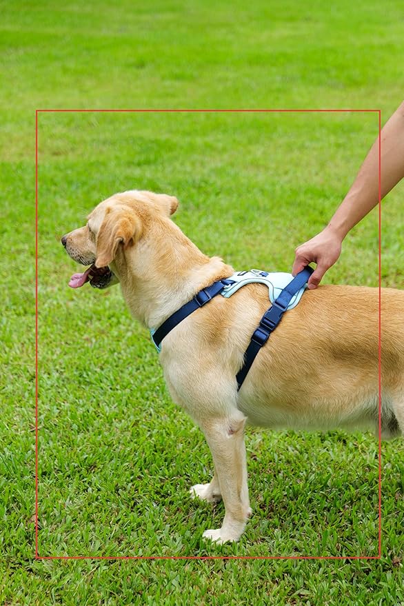 3 in 1 No Pull Dog Harness Leash and Collar Set, Soft Adjustable Dogs Vest Reflective and Comfortable Handle Blue Large