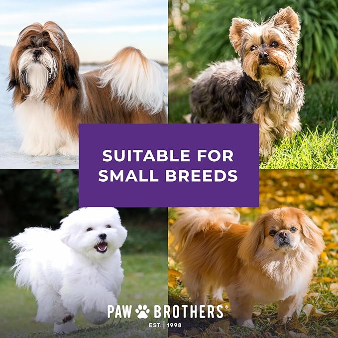 RYAN'S PET SUPPLIES Paw Brothers Soft Flat Slicker Brush with Coated Pin Tips, Mini/Small