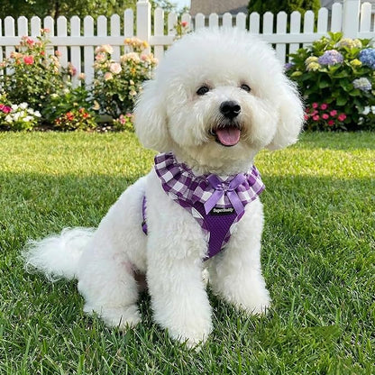 SuperBuddy Upgraded Soft Mesh Dog Harness, Super Breathable Lightweight Pet Harnesses for Puppy Dogs Outdoor Walking, Purple Dog Harness -Medium