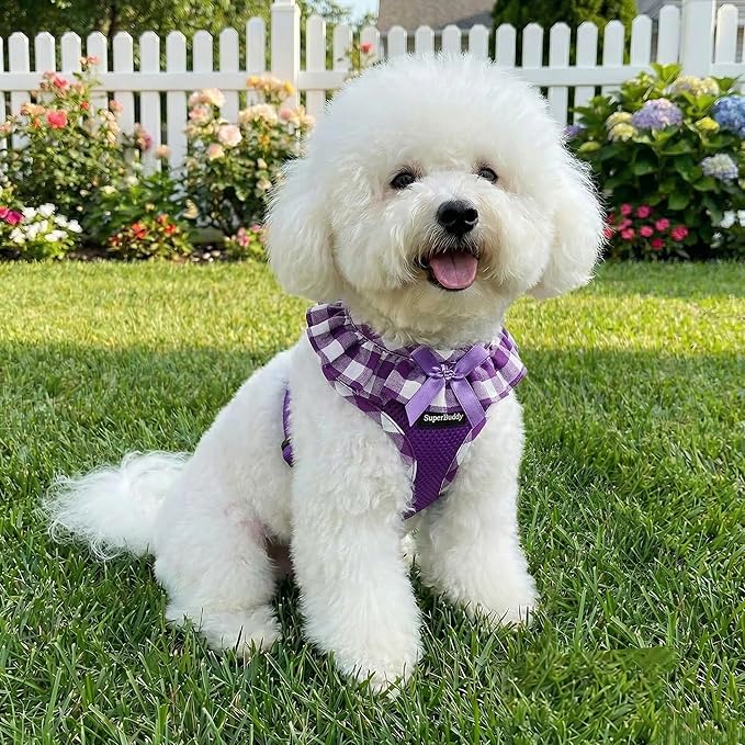 SuperBuddy Upgraded Soft Mesh Dog Harness, Super Breathable Lightweight Pet Harnesses for Puppy Dogs Outdoor Walking, Purple -XSmall