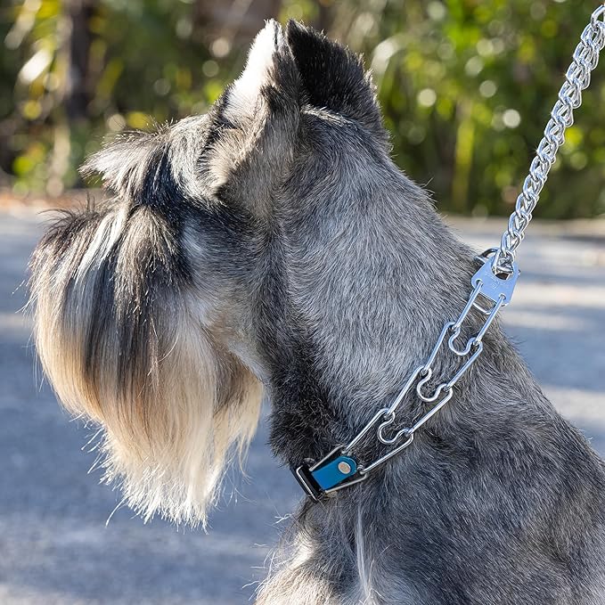 Herm Sprenger Chrome Plated Steel Dog Collar with Quick Release ClicLock Buckle and Biothane Insert Training Collar for Dogs Made in Germany (Cerulean Blue, 23in x 3.2mm(Neck Size up to19-20in))