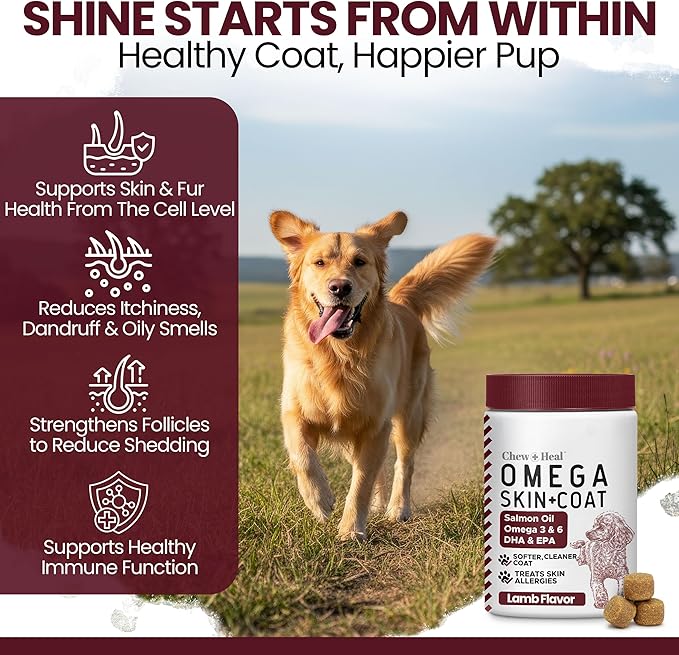 Salmon Oil for Dogs - Soft Chew Omega Treats for Skin and Coat - Fish Oil Blend of Essential Fatty Acids, Omega 3 and 6, Vitamins, Antioxidants and Minerals - Made in USA (180 Chews, Lamb)