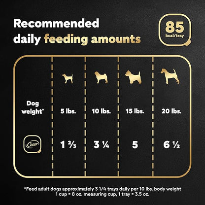 Cesar Filets in Gravy, Adult Wet Dog Food, Rotisserie Chicken Flavor, Wet Food for Dogs, 3.5 oz Trays, 24 Count