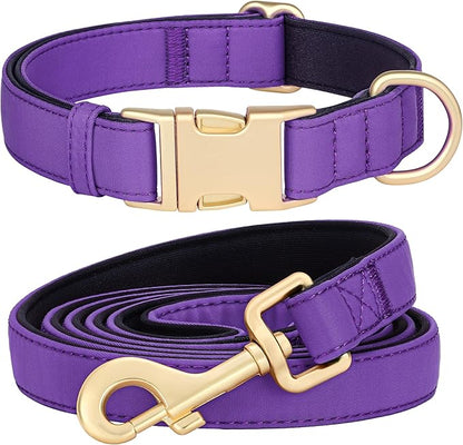 Didog Colorful Soft Padded Nylon Dog Collar & 5FT Dog Leash Set for Medium Dogs