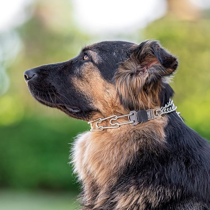 Herm Sprenger Prong Dog Collar with Quick Release ClicLock Buckle for Small Medium Large Dogs Stainless Steel Training No-Pull Collar for Dogs Made in Germany (23in x 3.2mm)