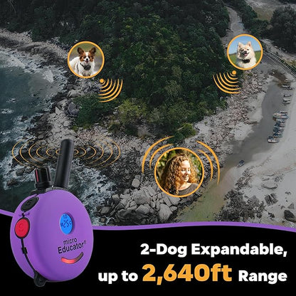 Educator ME-300 Micro E Collar for Dog Training with Remote - 1/3 Mile Range, Waterproof, 100 Blunt Stimulation Levels, Tone or Vibration Mode, Night Tracking Light for Small, Medium & Large Dogs