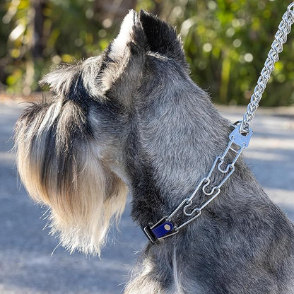 Herm Sprenger Chrome Plated Steel Dog Collar with Quick Release ClicLock Buckle and Biothane Insert Training Collar for Dogs Made in Germany (Blueberry Royal, 23in x 3.2mm(Neck Size up to19-20in))